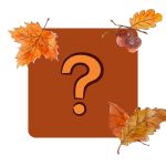 Edition Roter Drache Fragezeichen